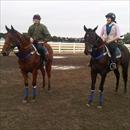 Yearlings at Flemington trackwork (L to R) Fasnet Rock/Legally Bay filly and the More Than Ready/Rose O' War filly